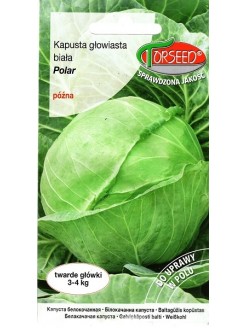 White cabbage 'Polar' 2 g