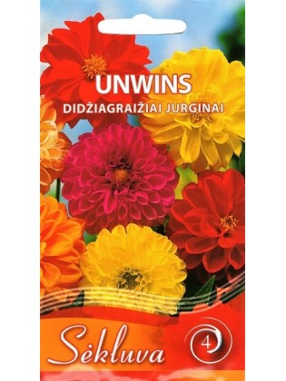 Dalia zmienna 'Unwins' Mix 1 g
