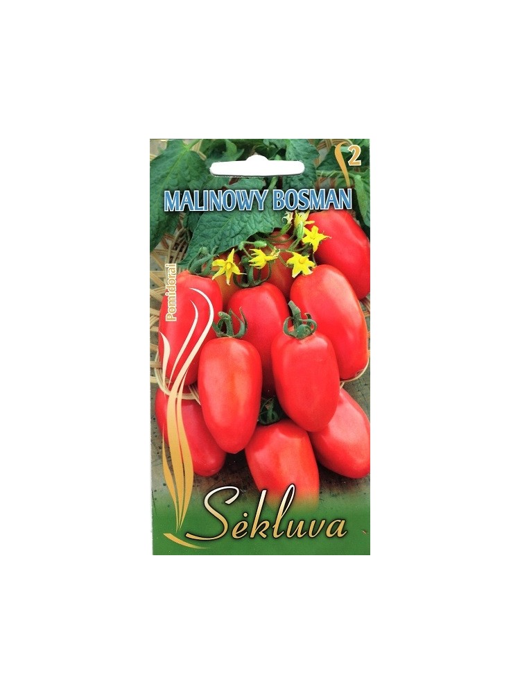 Pomidor 'Malonowy Bosman' 0,2 g