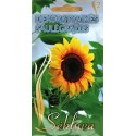 Sonnenblume 10 g