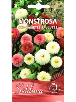 Common daisy 'Monstrosa', mix 0,1 g
