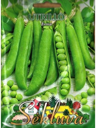 Gartenerbse 'Utrillo' 50 g
