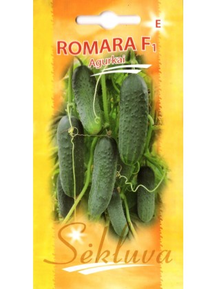 Ogórek siewny 'Romara' H, 20 nasion
