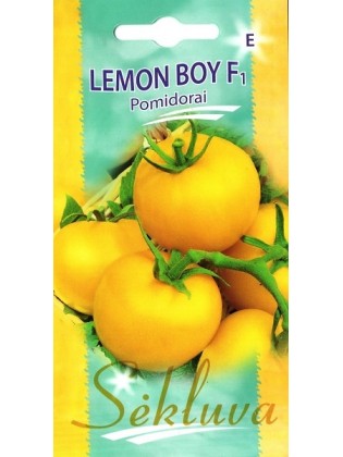 Tomate 'Lemon Boy' F1, 8 Samen