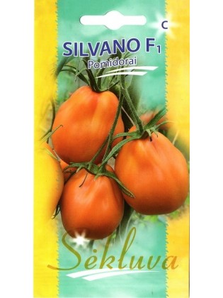 Pomidor 'Silvano' H, 10 nasion