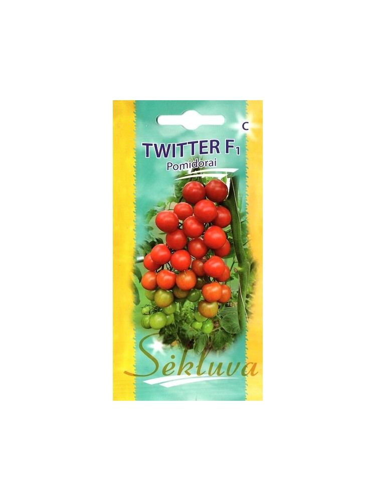 Pomidor zwyczajnyi 'Twitter' H, 10 nasion
