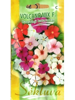 Катарантус розовый 'Volcano' F1, 15 семян