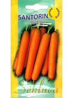 Carrot 'Santorin' H, 5000 seeds