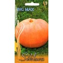Gartenkürbis 'Big Max', 7 Samen