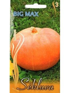 Moliūgai didieji 'Big Max', 7 sėklos