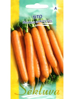 Karotte 'Tito' 2 g