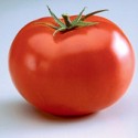 Pomidor 'Big Beef' H, 100 nasion