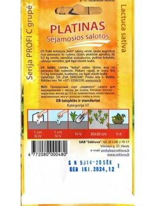 Salotos sėjamosios 'Platinas' 20 sėklų