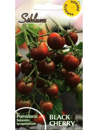 Harilik tomat 'Black Cherry' 3 g