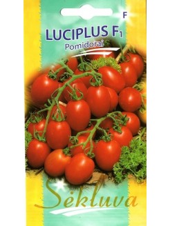 Pomidorai valgomieji 'Luciplus' H, 10 sėklų