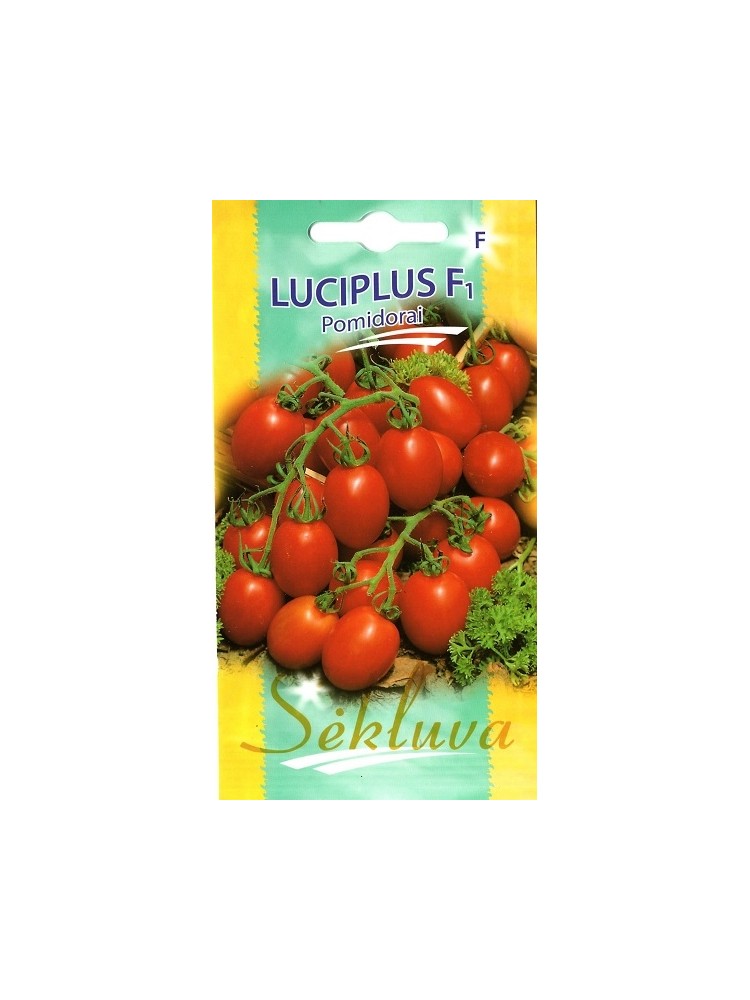 Tomate 'Luciplus' H, 10 Samen