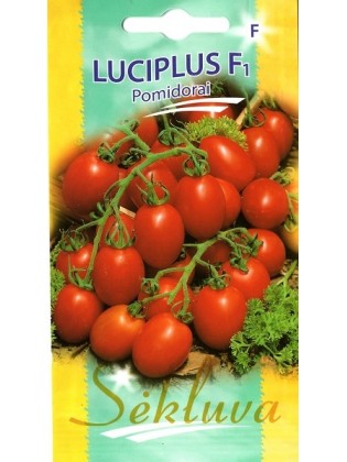 Tomate 'Luciplus' H, 10 Samen