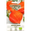 Dynia olbrzymia 'Hokkaido Orange' 2 g