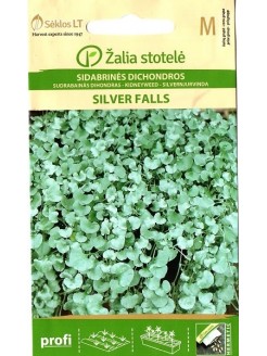 Dichondra argentea 'Silver Falls' 6 graines
