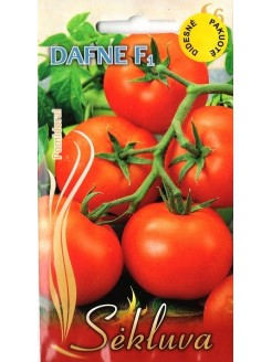 Pomodoro 'Dafne' H, 2 g
