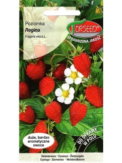 Wald-Erdbeere 'Regina' 0,2 g