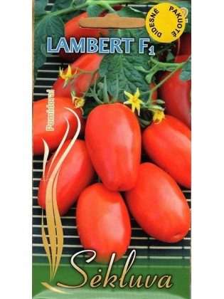 Tomate 'Lambert' H, 2 g