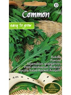 Rukola 'Common' 4 m