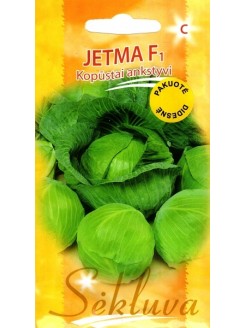 Капуста белокочанная 'Jetma' H, 500 семян