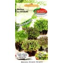 Basilikum 0,5 g, Microgreens