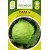 White cabbage 'Tiara H' , 30 seeds