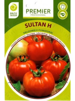 Pomidor zwyczajny 'Sultan' H, 35 nasion