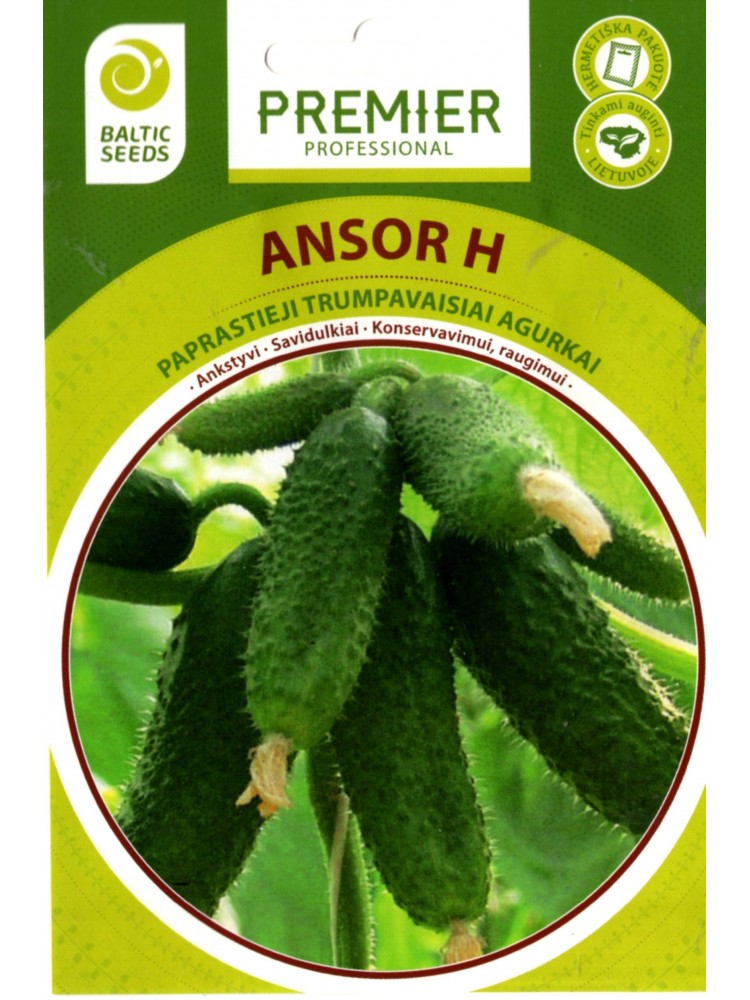 Ogórek 'Ansor' H, 20 nasion