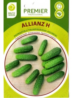 Gherkin 'Allianz' H, 60 seeds