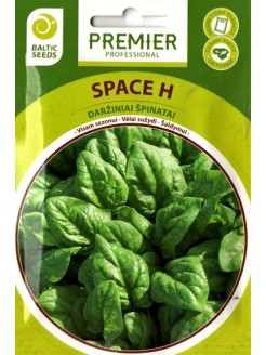 Spinach 'Space H' , 300 seeds