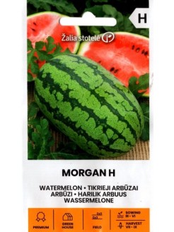 Arbūzai tikrieji 'Morgan' H, 5 sėklos