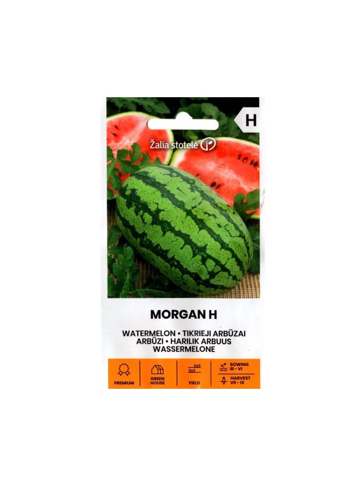 Arbuz zwyczajny 'Morgan' H, 5 nasion