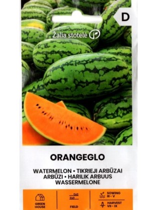Wassermelone 'Orangeglo' H, 1 g