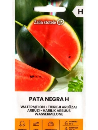 Wassermelone 'Pata Negra' H, 5 Samen