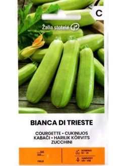 Zucchini 'Bianca di trieste' 1 g