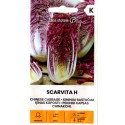Chinesischer Senfkohl 'Scarvita' H, 12 Samen