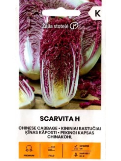 Pak choi 'Scarvita' H, 12 seeds