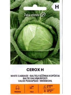 Kopūstai baltagūžiai 'Cerox' H, 0,1 g