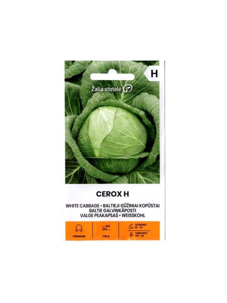Kopūstai baltagūžiai 'Cerox' H, 0,1 g