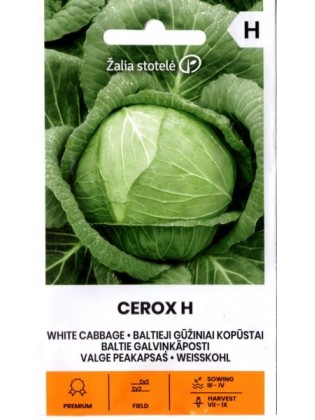 Weißkohl 'Cerox' H, 0,1 g