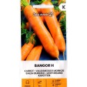 Karotte 'Bangor' H, 1 g