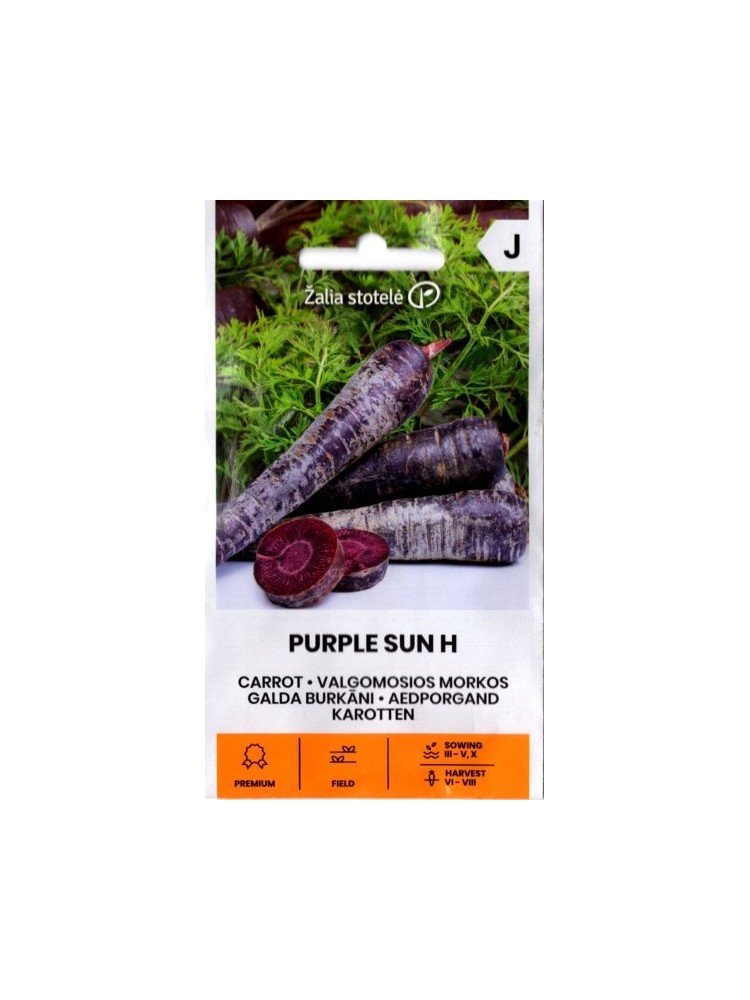 Morkos valgomosios 'Purple Sun' H, 0,5 g
