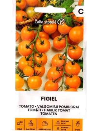 Tomate 'Figiel' H, 0,1 g