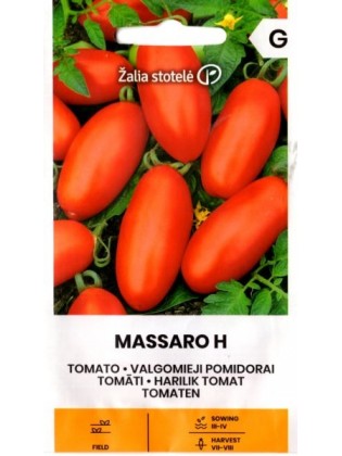 Tomate 'Massaro' H, 20 Samen