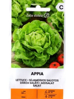 Salotos sėjamosios 'Appia' 1 g