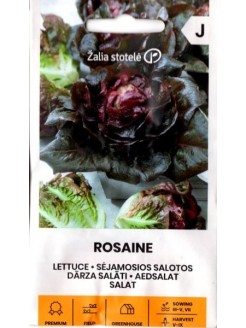 Salotos sėjamosios 'Rosaine' 20 sėklų